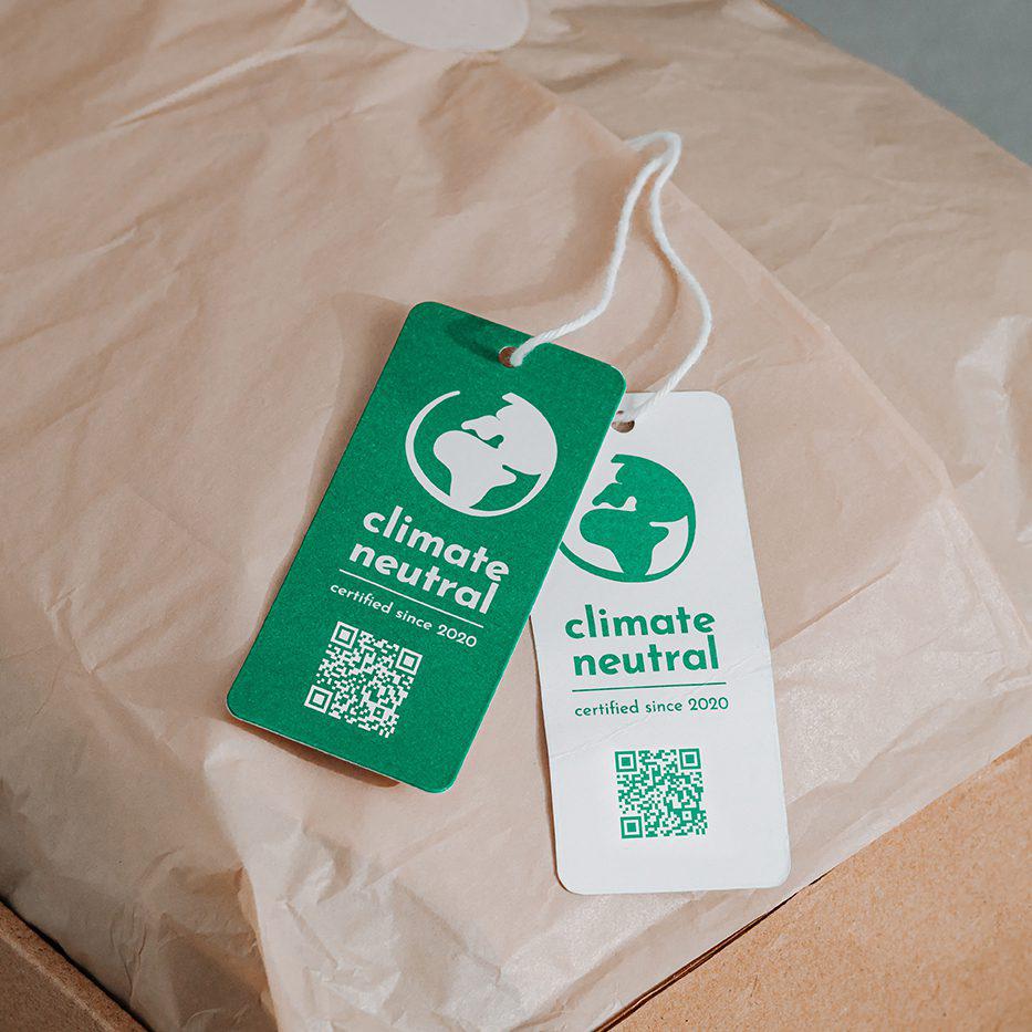 Embracing Green: The Latest Trends in Sustainable Packaging Solutions